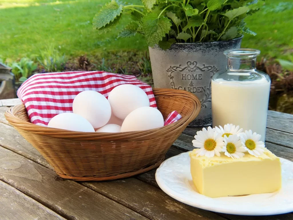 egg 2191991 1280 jpg