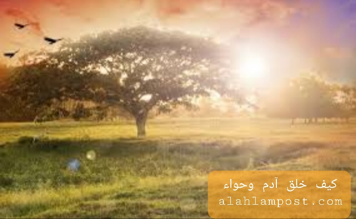كيف خلق آدم وحواء عليهما السلام ومراحل الخلق 1 "<yoastmark
