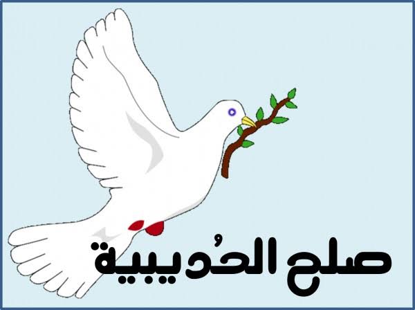 حمامة السلام بين المسلمين وقريش