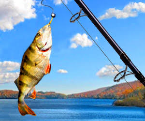 صيد السمك بالسنارة