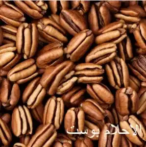 جوز البقان