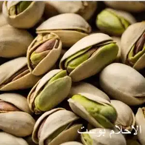 فستق 4