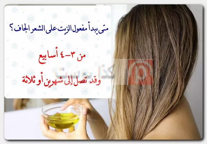متى يبدأ مفعول الزيت على الشعر الجاف؟ نتائج الزيت على الشعر الجاف