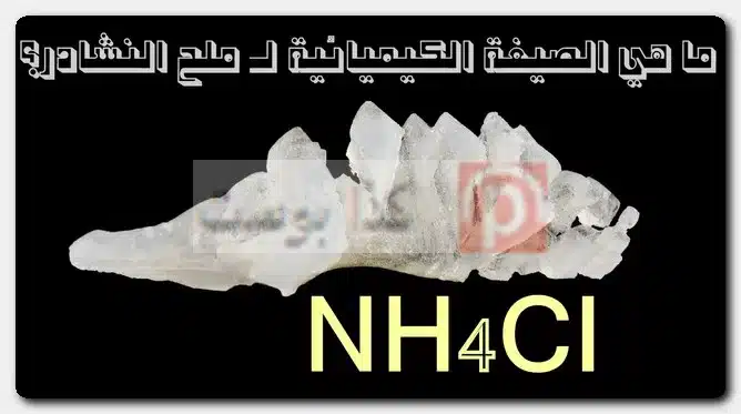 هل الأمونيا هي النشادر؟