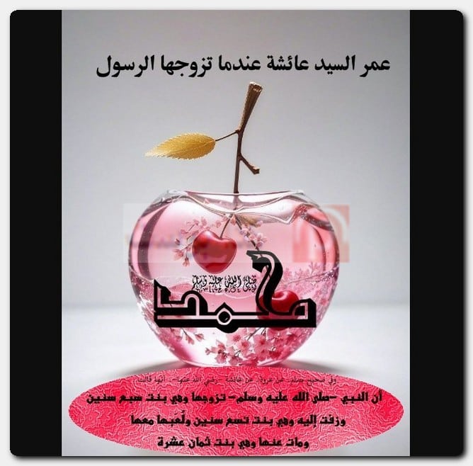عمر السيد عائشة عندما تزوجها الرسول عدد زوجات الرسول صحيح البخاري